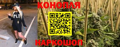 стафф Волгодонск